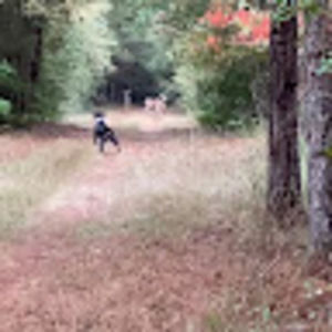 Meet your Posher, Gerald